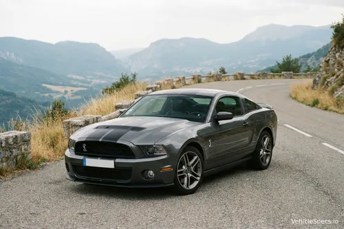 Ford Shelby II (Phase 2 2010)